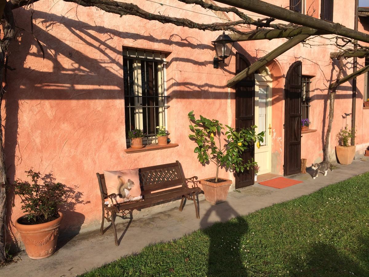 Agriturismo Il Pettirosso Casa de hóspedes Forlì Exterior foto