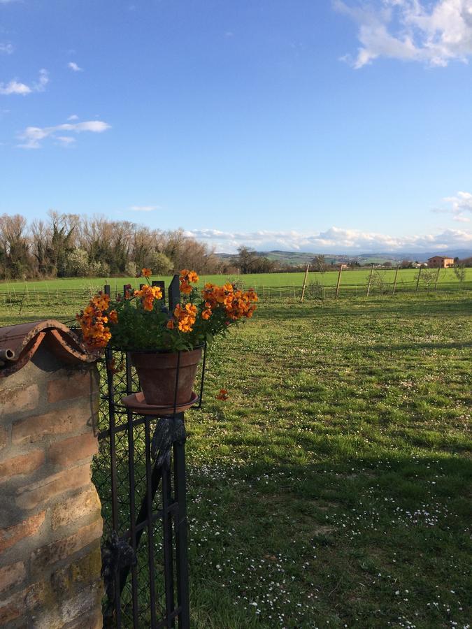 Agriturismo Il Pettirosso Casa de hóspedes Forlì Exterior foto